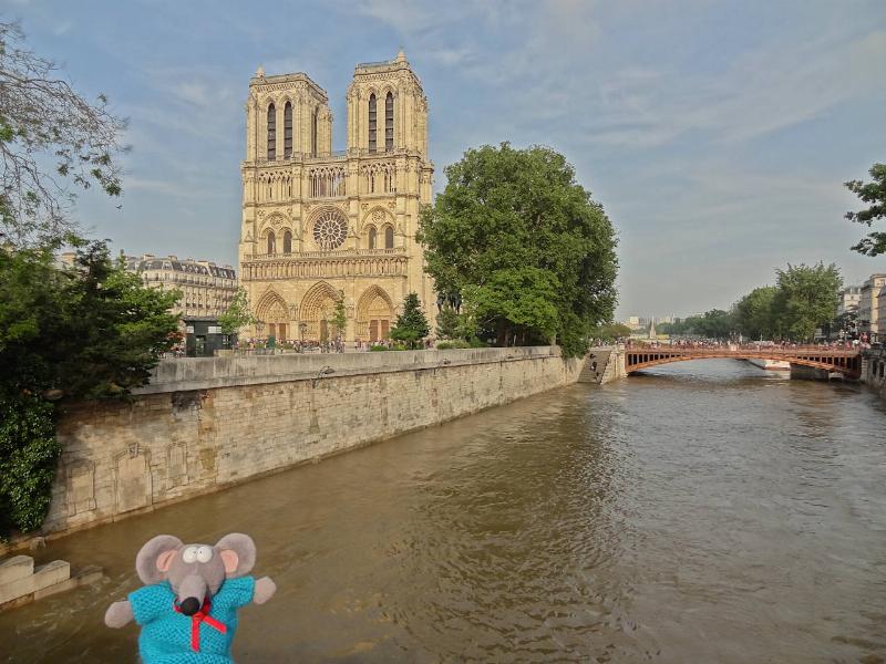 La façade ouest de Notre-Dame de Paris, avec ses portails richement sculptés, ses rosaces et ses tours imposantes, témoignant de la grandeur gothique.